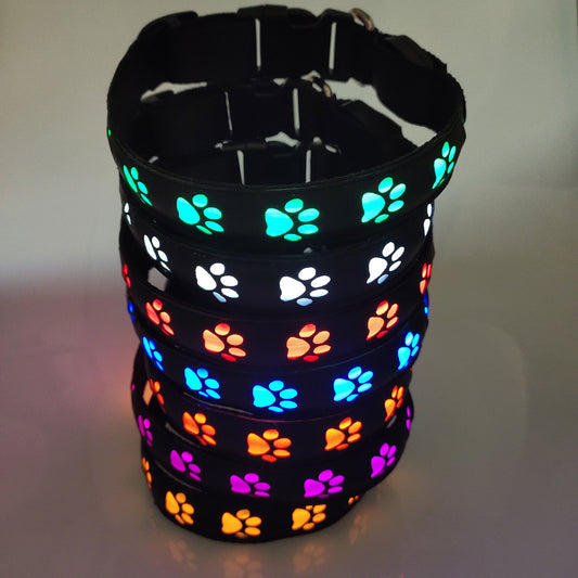 Collier LED Rechargeable pour Chien – Lumineux, Anti-Accident, Anti-Perte - FurloED937C8469EA43229E67C5063E4A9D9F
