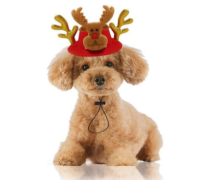 Chapeau de Noël Rigolo pour Chien et Chat – Coiffe Festive Réglable - Furlo