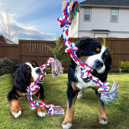 Corde à 5 Nœuds en Coton pour Grand Chien – Jouet à Mâcher Solide 94 cm - Furlo