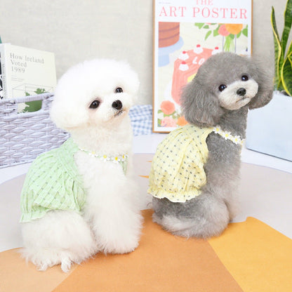 Vêtement chien printemps/été – Pull léger pour petit chien - Furlo