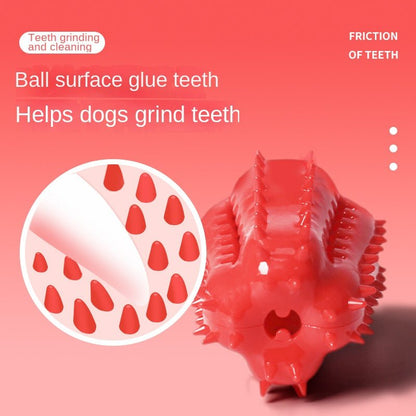 Balle distributrice piment pour chien — Jouet TPR nettoyage des dents - Furlo