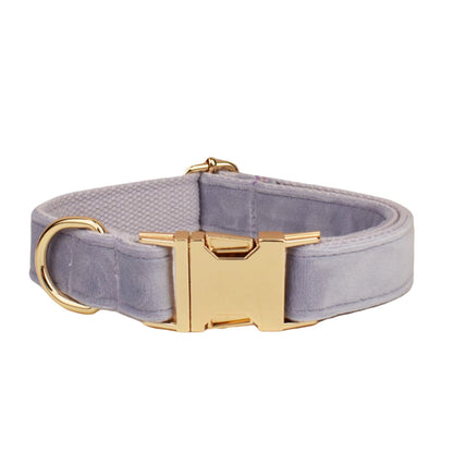 Collier velours pour chien réglable – coloris lilas