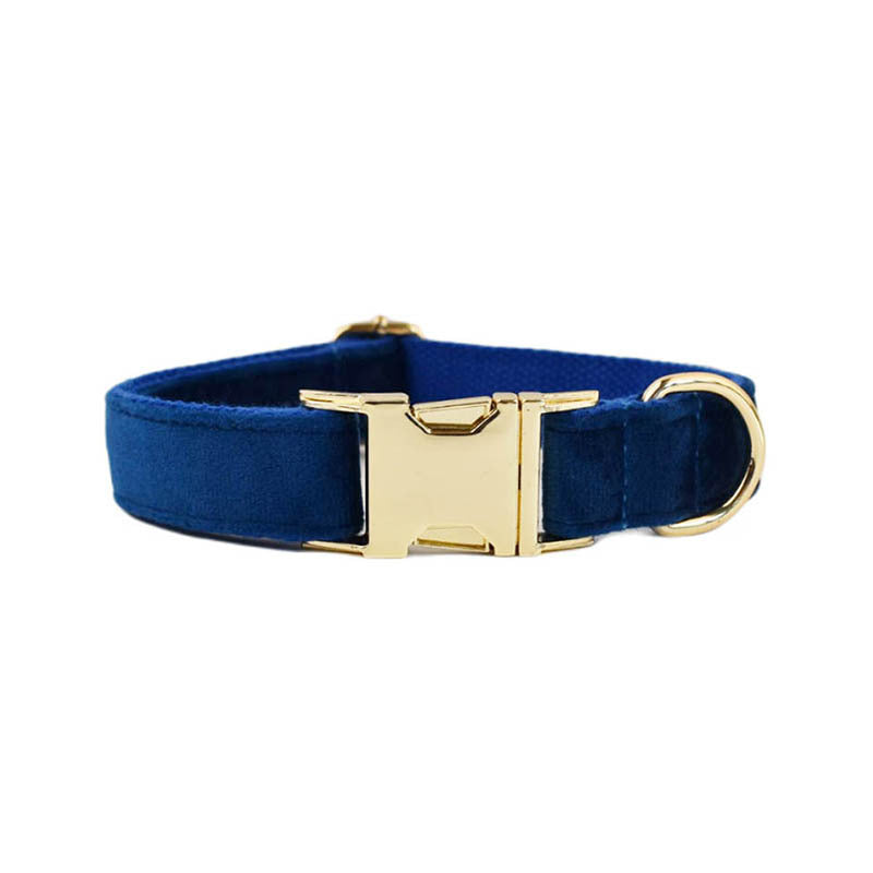 Collier velours pour chien réglable – vue 3