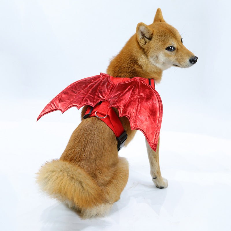 Costume Halloween Chauve-Souris pour Chat et Chien – Harnais avec Laisse - Furlo