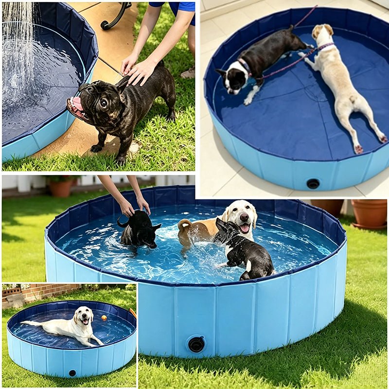 Piscine Pliable pour Chien – Baignoire Portable avec Vidange, Jeux d’Été et Bain - Furlo02AAA5D4803749C59826EE82F3EABB9F