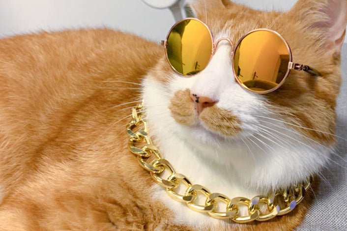 Lunettes de Soleil pour Chien & Chat - Furlo