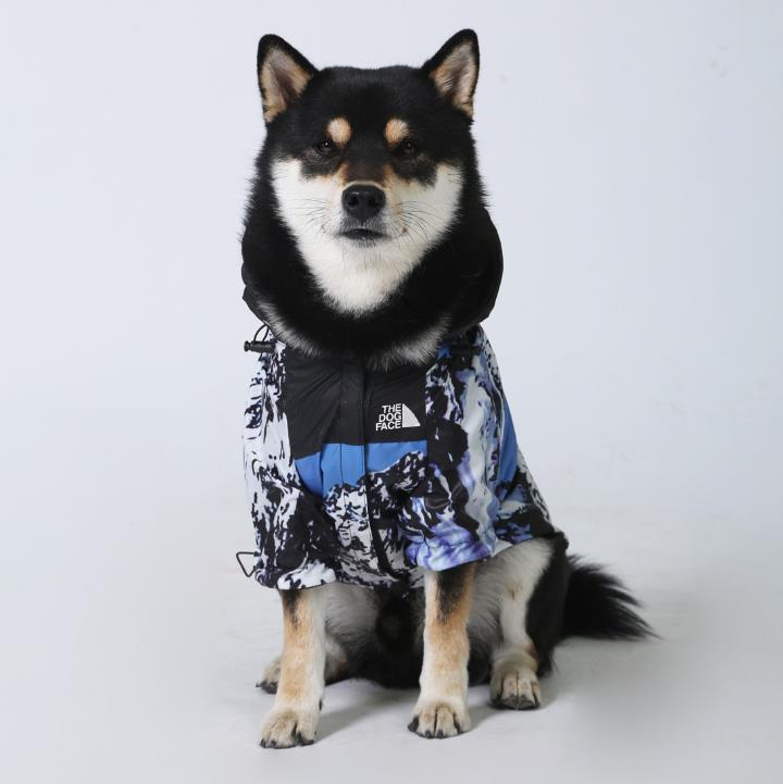 Coupe-vent imperméable pour chien – Veste légère style aventure | Bleu, S à 5XL - Furlo
