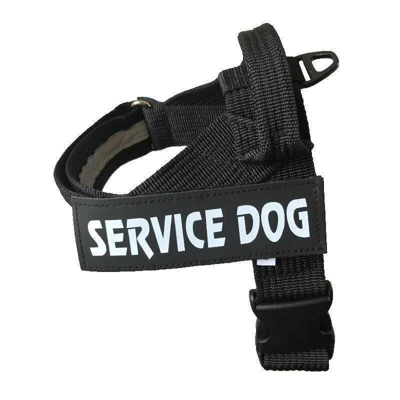 Harnais Réglable Personnalisé pour Chien - Furlo