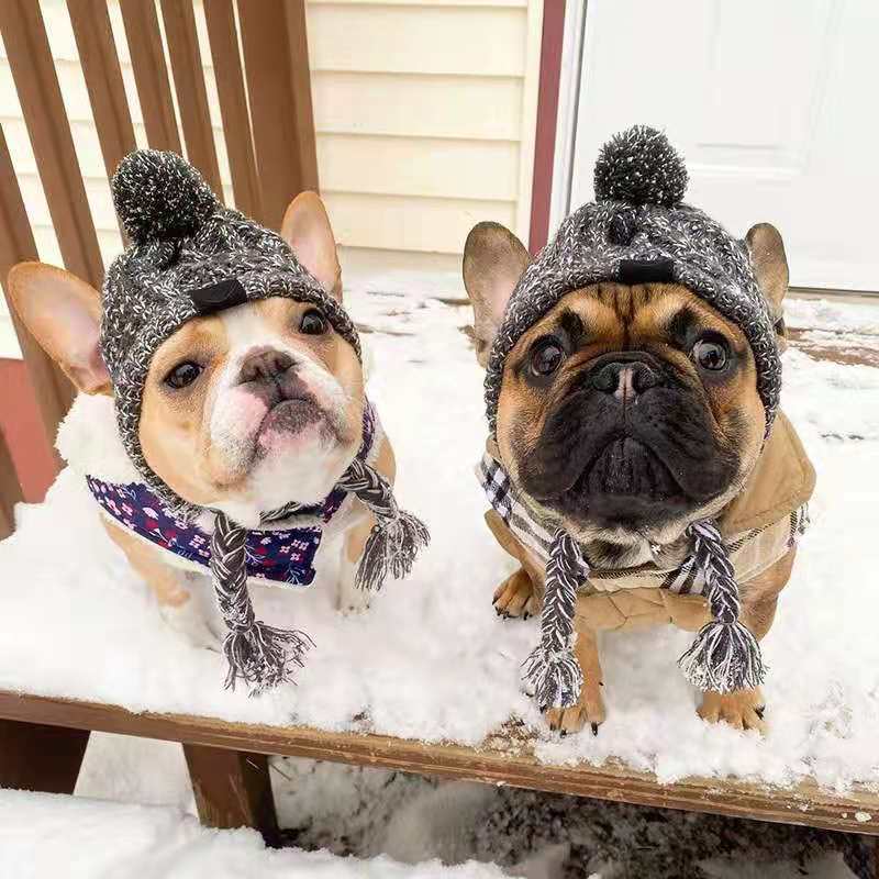 Bonnet pour chien et chat – Accessoire toutes saisons | Gris & Violet - Furlo