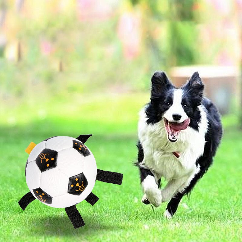 Ballon de Football Interactif pour Chien – TPU Résistant avec Cordes | 15 ou 17 cm - Furlo