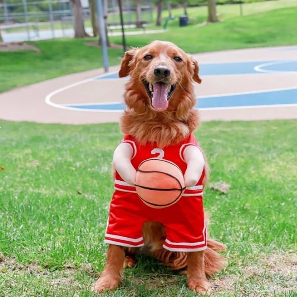 Maillot de Basketball pour Chien avec Balle – Rouge & Jaune S M L - Furlo