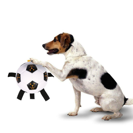 Ballon de Football Interactif pour Chien – TPU Résistant avec Cordes | 15 ou 17 cm - Furlo
