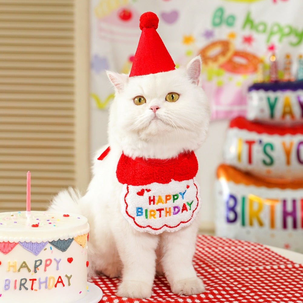 Kit Anniversaire pour Chat & Chien - Furlo