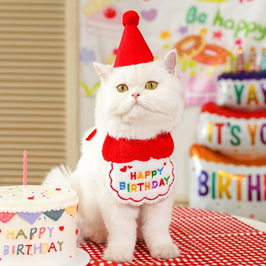 Kit Anniversaire pour Chat & Chien - Furlo