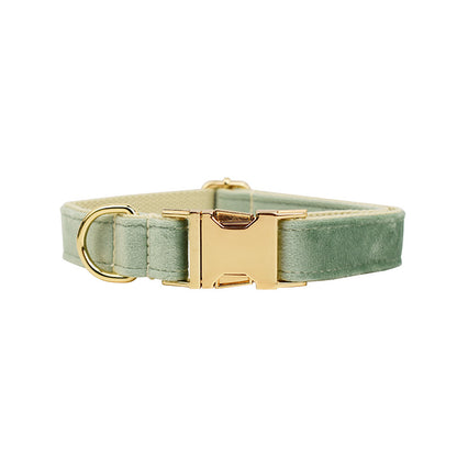 Collier velours pour chien réglable – coloris vert menthe