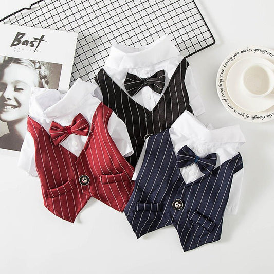 Costume de Mariage pour Chien – Tenue Chic Printemps Été - Furlo