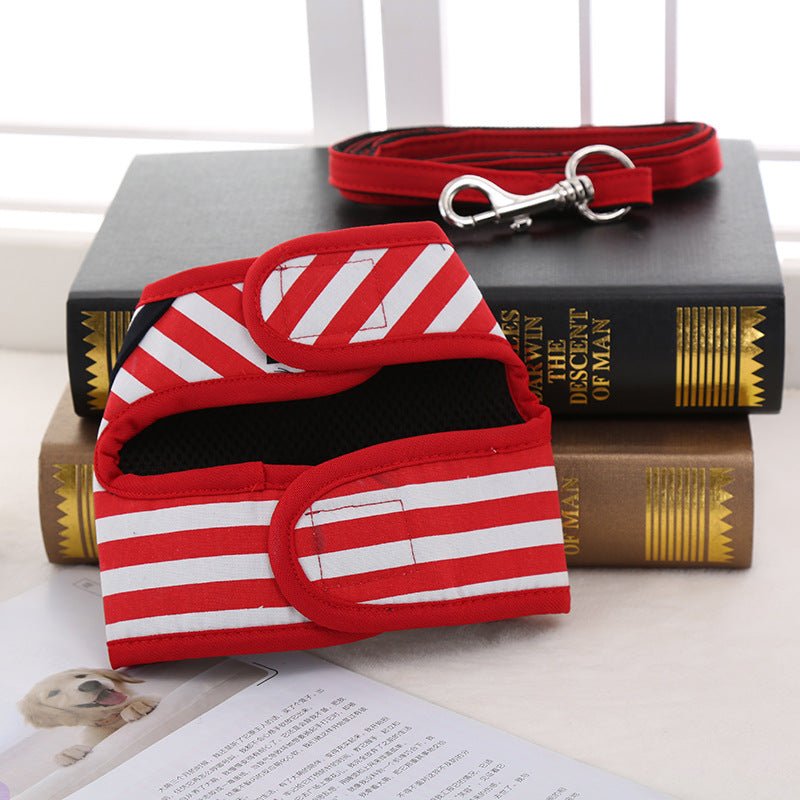 Harnais + Laisse 2-en-1 Style Marin pour Chien – 3 Coloris XS à XL - Furlo