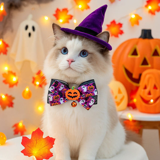 Collier Halloween avec nœud papillon pour chien et chat – Citrouille & Crâne - Furlo8D28C9BA9A2747C19AD0E0C0DAAC0152