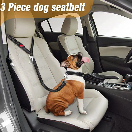 Laisse de Sécurité Nylon pour Chien – Ceinture Voiture Extensible | 9 Coloris - Furlo
