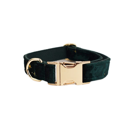 Collier velours pour chien réglable – coloris vert étoilé