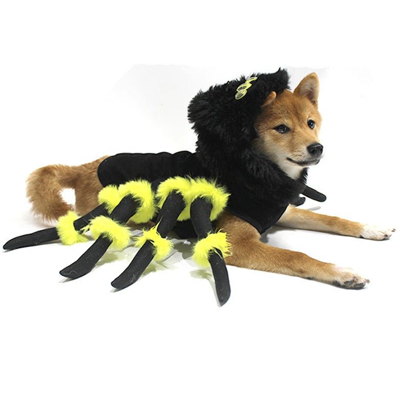 Déguisement Araignée Halloween pour Chien et Chat – Cosplay Rigolo S à 3XL - Furlo