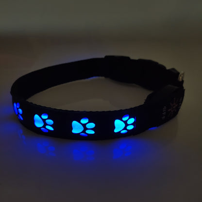 Collier LED Rechargeable pour Chien – Lumineux, Anti-Accident, Anti-Perte - Furlo46F5A43A59914AD58F17BCF57A5C7C2B