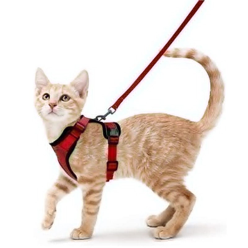Harnais Vest Anti-Fugue Respirant & Réfléchissant pour Chat – Avec Laisse - Furlo