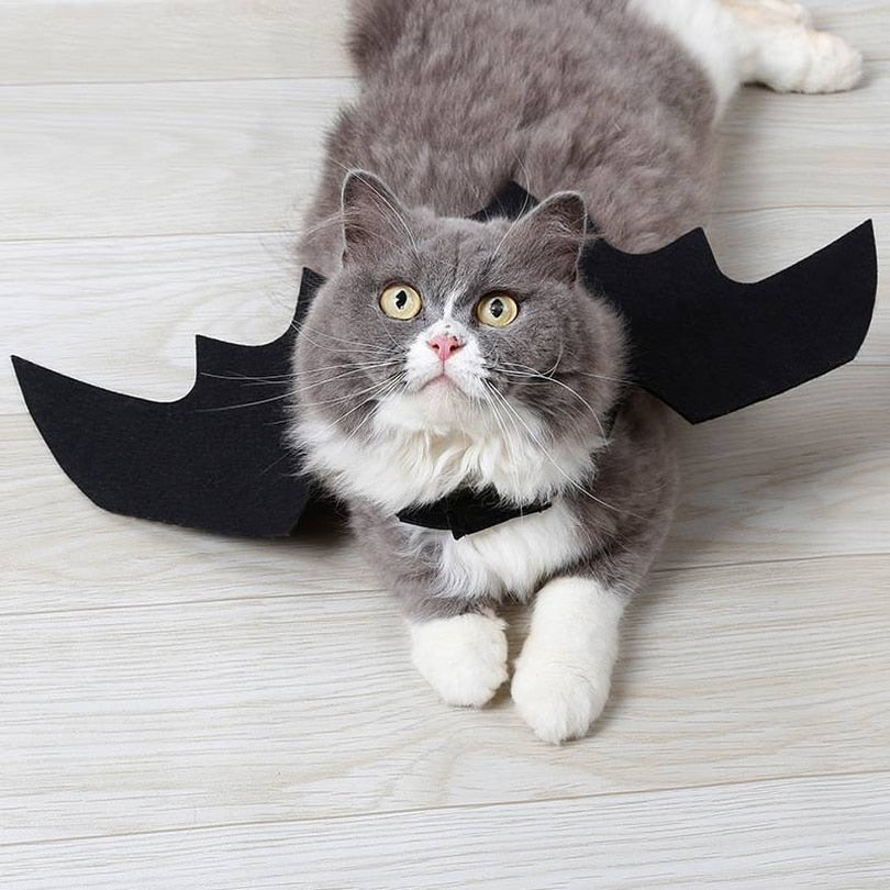 Ailes de Chauve-Souris Halloween pour Chat – Costume Félin en Feutrine Noire - Furlo