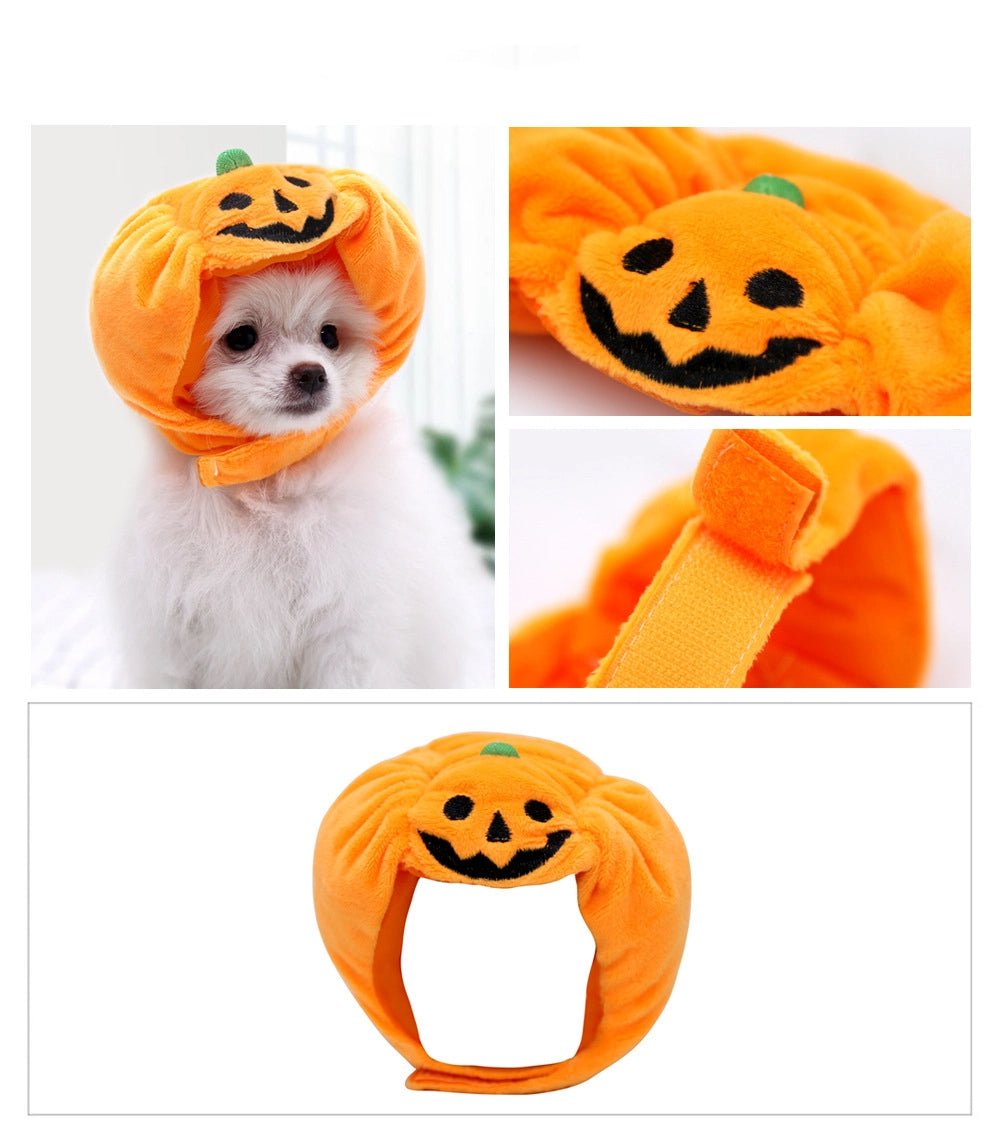 Chapeau Citrouille Halloween pour Chat & Chien – Décoration Fête | Tailles S & L - Furlo