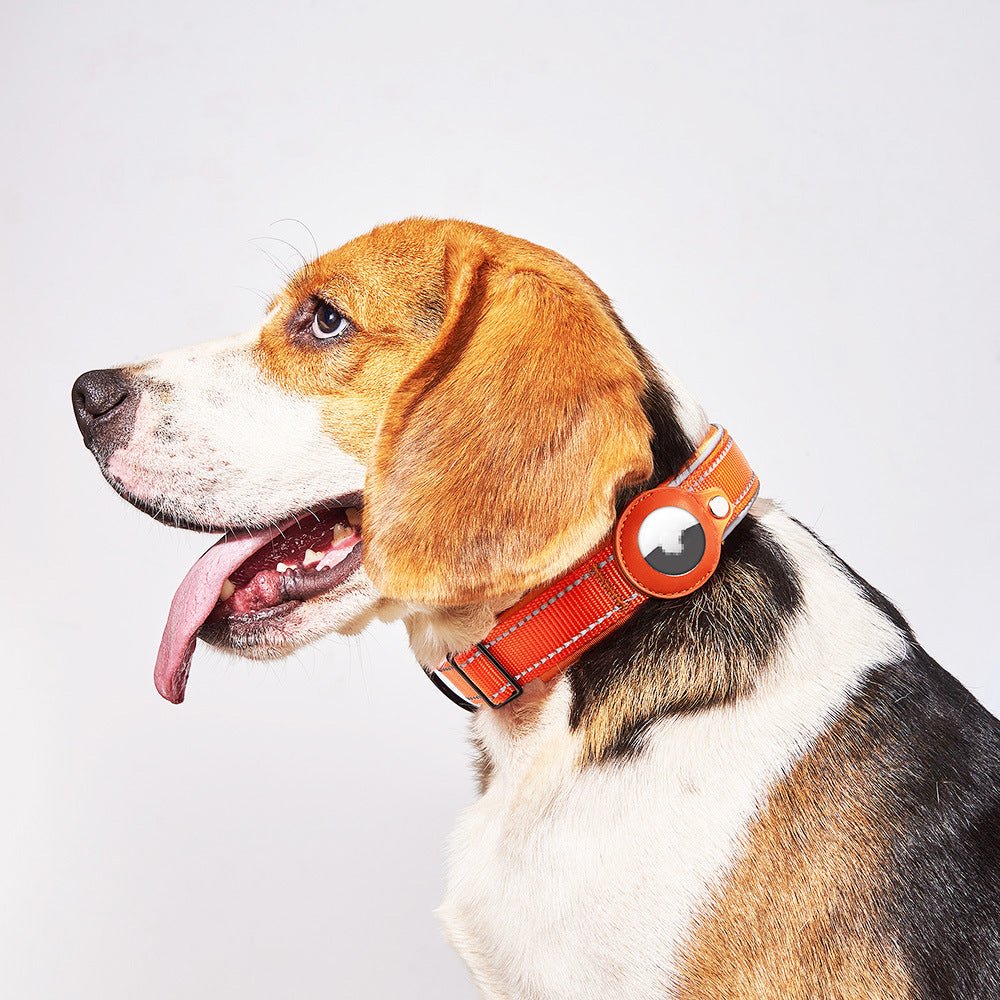 Collier Porte-Localisateur GPS pour Chien Compatible Apple AirTag – Anti-Perte Réglable - Furlo7611442ACB924BD684C835D98B34AD51