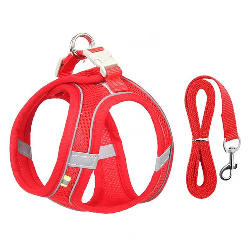 Harnais Maille Réfléchissant & Respirant pour Chat et Chien – Avec Laisse 150 cm - Furlo