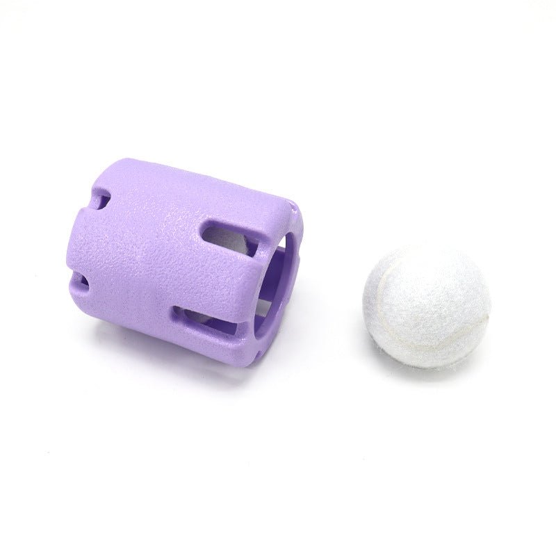 Jouet Balle Tennis en TPR pour Chien – À Lancer & Mâcher | Violet - Furlo