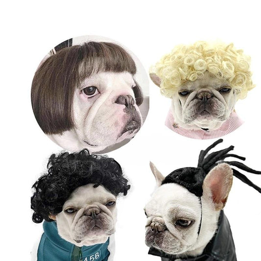 Perruque Cosplay pour Chien et Chat – Accessoire Déguisement Rigolo - Furlo