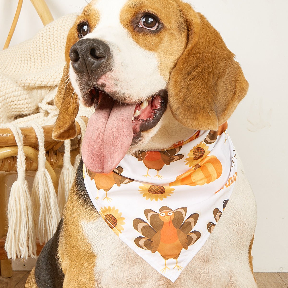 Bandana triangulaire automne pour chien – Dinde, Feuille d’érable & Citrouille - Furlo8D74E1DA52624656BF7258ECFE09F865