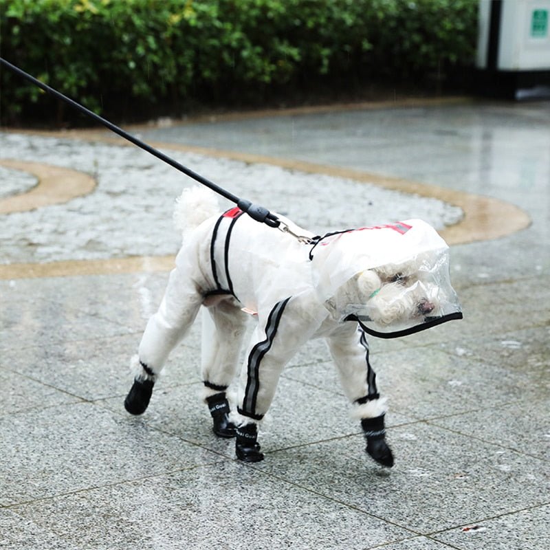 Imperméable Transparent Léger pour Chien – Veste Pluie | M à 7XL - Furlo