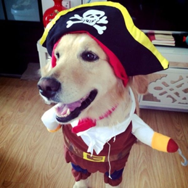 Costume Pirate pour Chat et Chien – Déguisement Halloween et Noël - Furlo