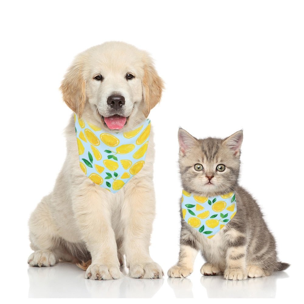 Bandana Imprimé Fruits pour Chien & Chat – Foulard Coton Ajustable | Tailles S & M - Furlo