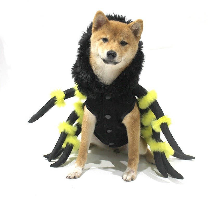 Déguisement Araignée Halloween pour Chien et Chat – Cosplay Rigolo S à 3XL - Furlo