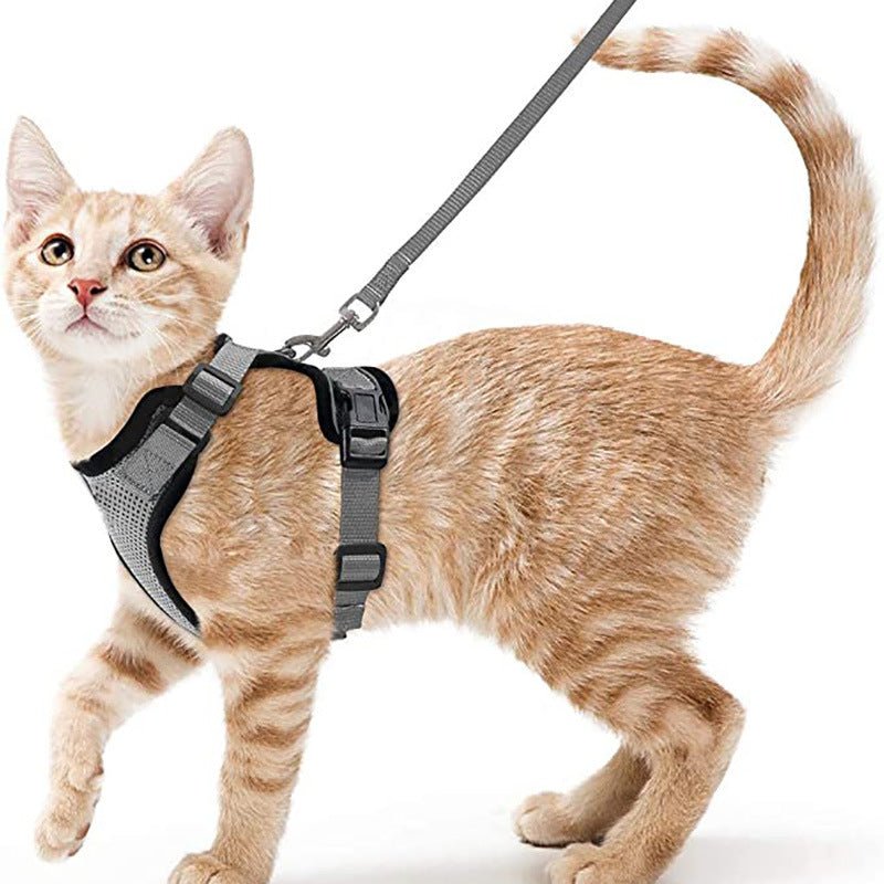 Harnais Vest Anti-Fugue Respirant & Réfléchissant pour Chat – Avec Laisse - Furlo