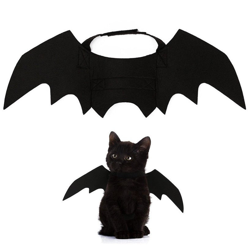 Ailes de Chauve-Souris Halloween pour Chat – Costume Félin en Feutrine Noire - Furlo