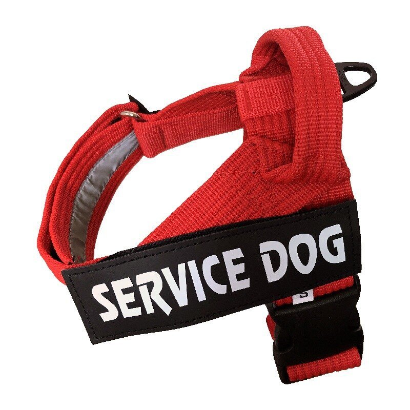 Harnais Réglable Personnalisé pour Chien - Furlo