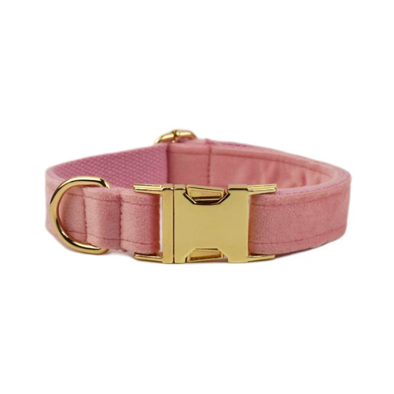 Collier velours pour chien réglable – vue 2