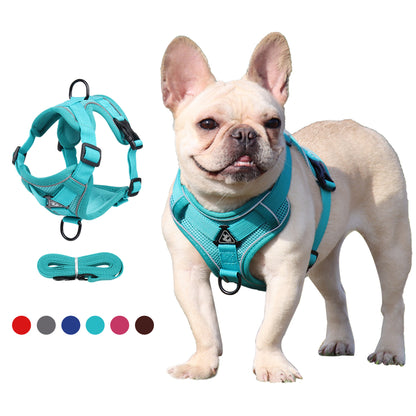 Harnais pour Chien & Chat Réfléchissant et Respirant – Gilet Sécurisé S/M/L/XL - Furlo