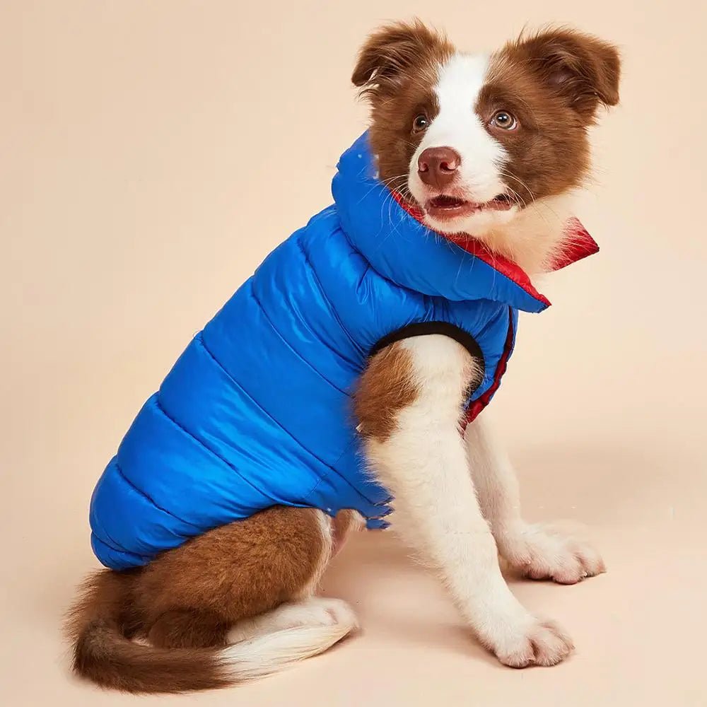 Vêtement pour Chien Automne/Hiver – Pull Doux & Chaud | 6 Couleurs, Tailles S à 5XL - Furlo