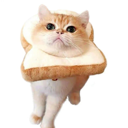 Collier de Récupération Toast pour Chat – Cône Anti-Léchage Forme Pain de Mie - Furlo