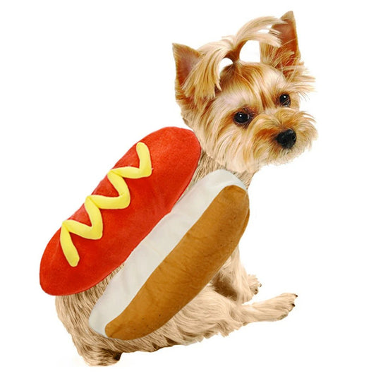 Déguisement hot-dog saucisse pour chien – Costume drôle & chaud | Halloween, Noël | S, M, L - Furlo