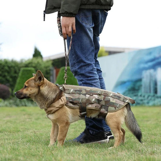 Laisse Tactique Nylon pour Chien – Entraînement, Chasse & Outdoor | 2,5 cm × 97-150 cm - Furlo