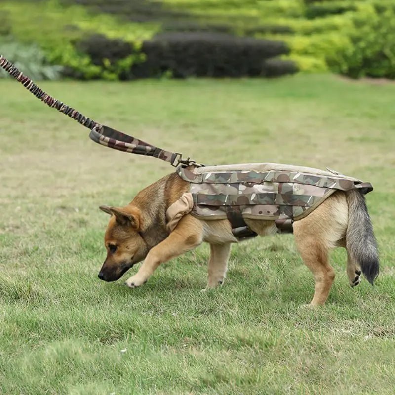 Laisse Tactique Nylon pour Chien – Entraînement, Chasse & Outdoor | 2,5 cm × 97-150 cm - Furlo