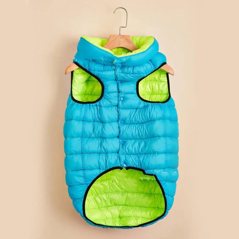 Vêtement pour Chien Automne/Hiver – Pull Doux & Chaud | 6 Couleurs, Tailles S à 5XL - Furlo