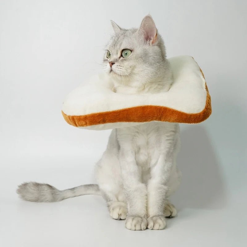 Collier de Récupération Toast pour Chat – Cône Anti-Léchage Forme Pain de Mie - Furlo